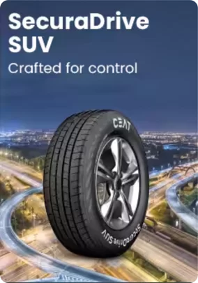 EnergyDrive EV