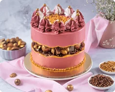 Choco Mine Cake